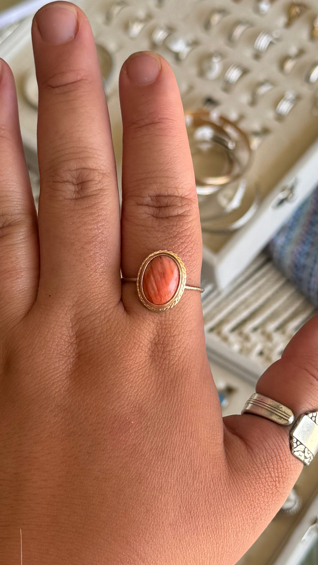 Pink Spiny Oyster in GF - size 13.5